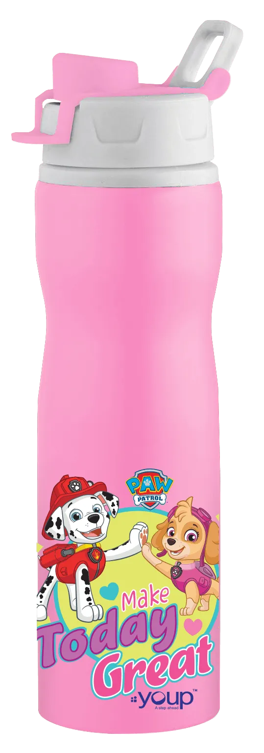 Paw Patrol kids loop cord bottle EXPERT - 750 ml