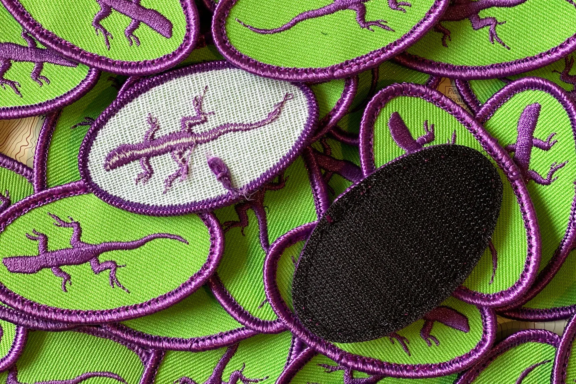 Purple Lizard Patches