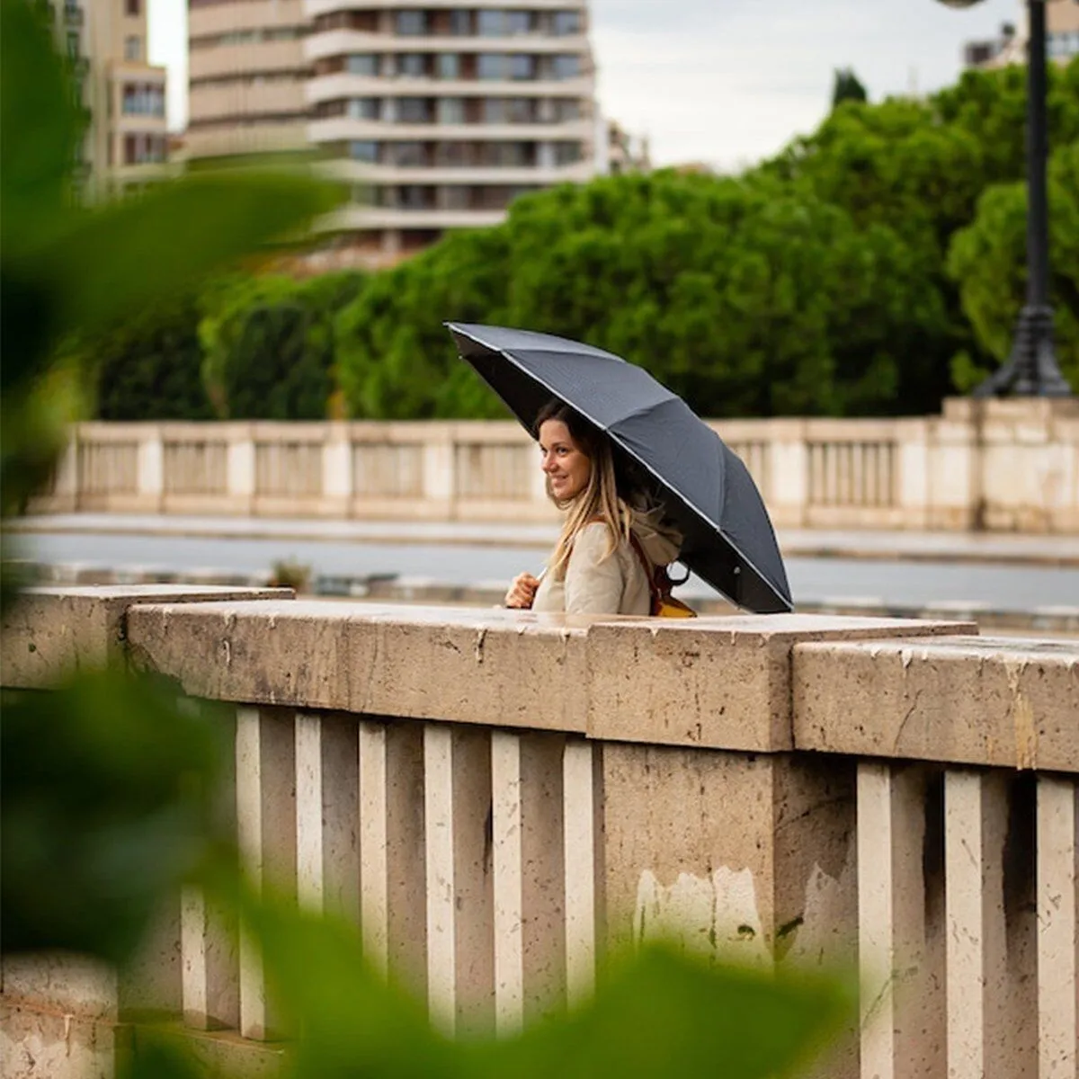 Umbrella